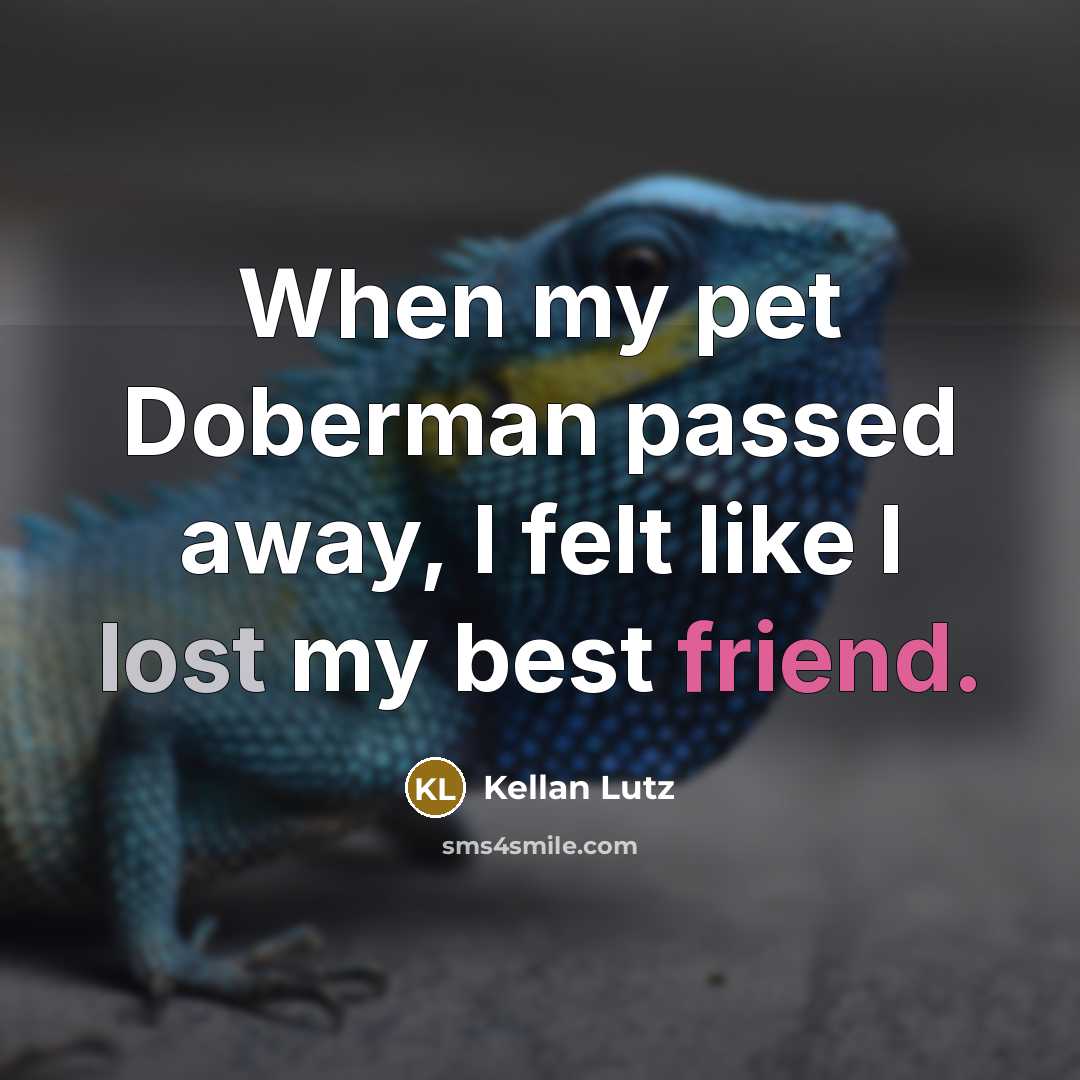 “When my pet Doberman passed away, I felt like I lost my best friend.” quote by Kellan Lutz