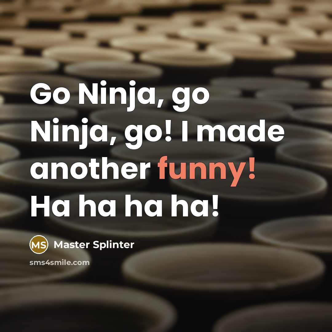 “Go Ninja, go Ninja, go! I made another funny! Ha ha ha ha!” quote by Master Splinter