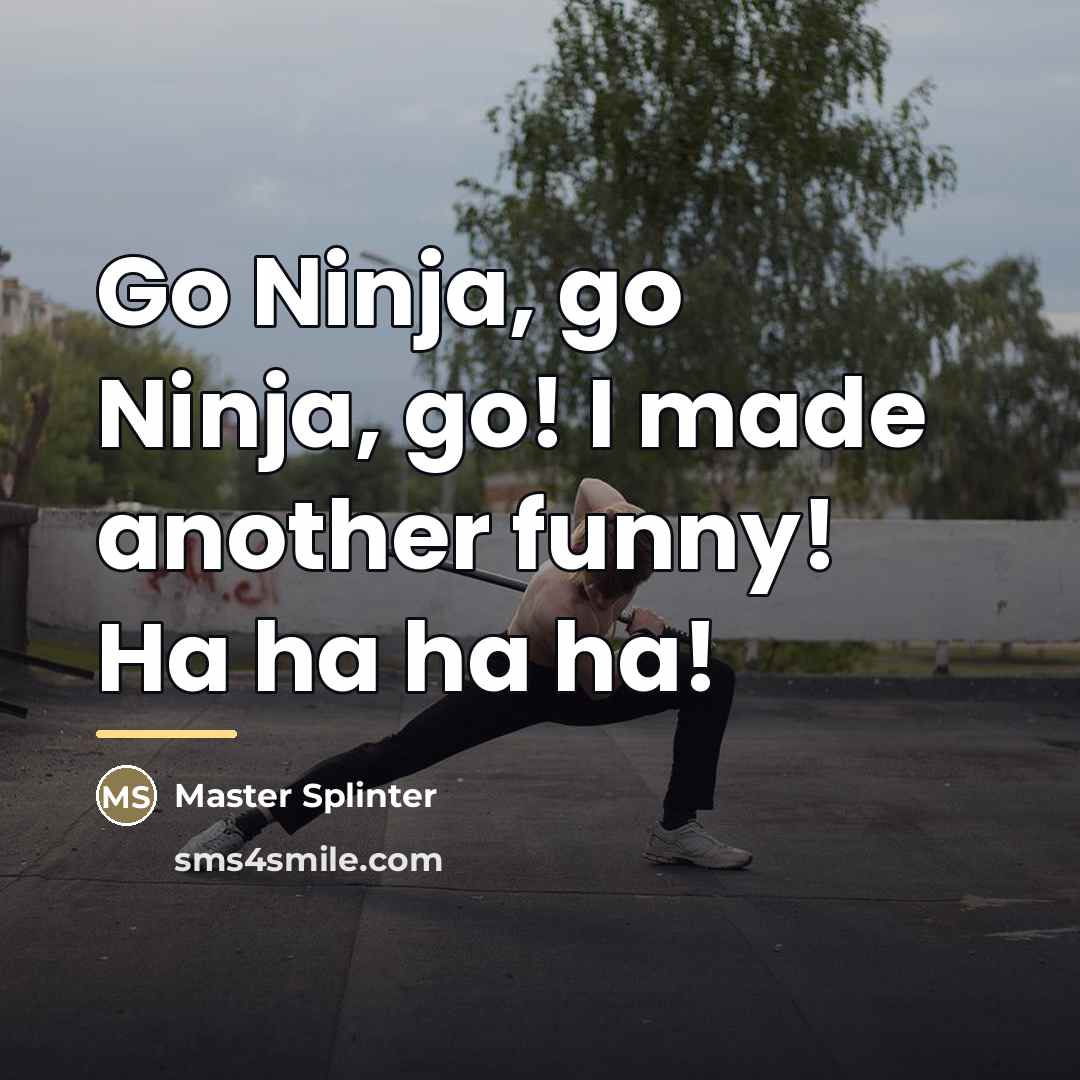 “Go Ninja, go Ninja, go! I made another funny! Ha…” quote by Master Splinter