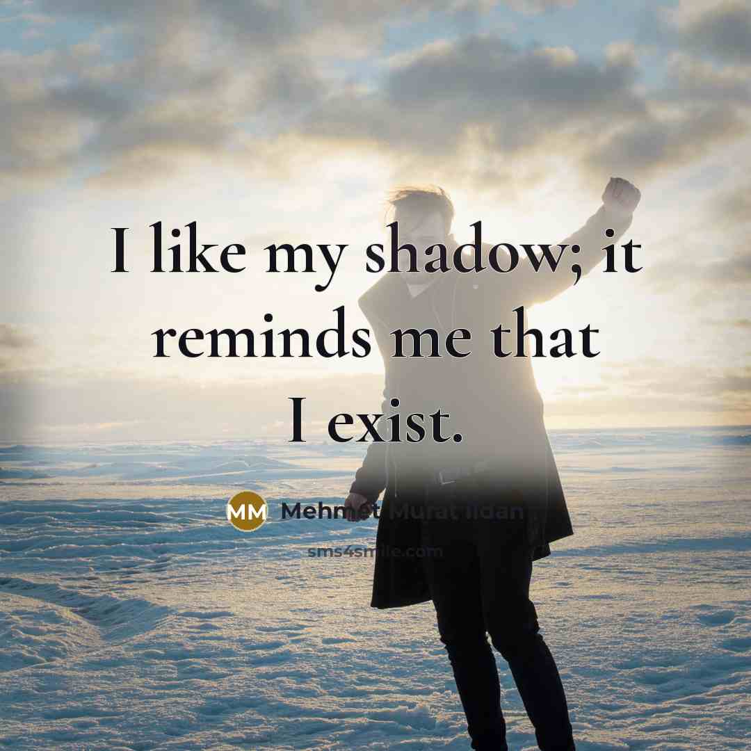 “I like my shadow; it reminds me that I exist.” quote by Mehmet Murat Ildan