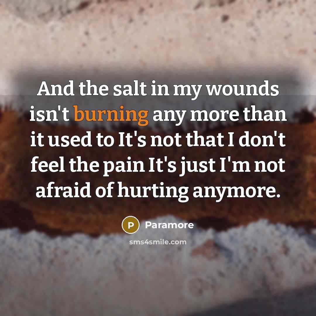 “And the salt in my wounds isn't burning any more…” quote by Paramore