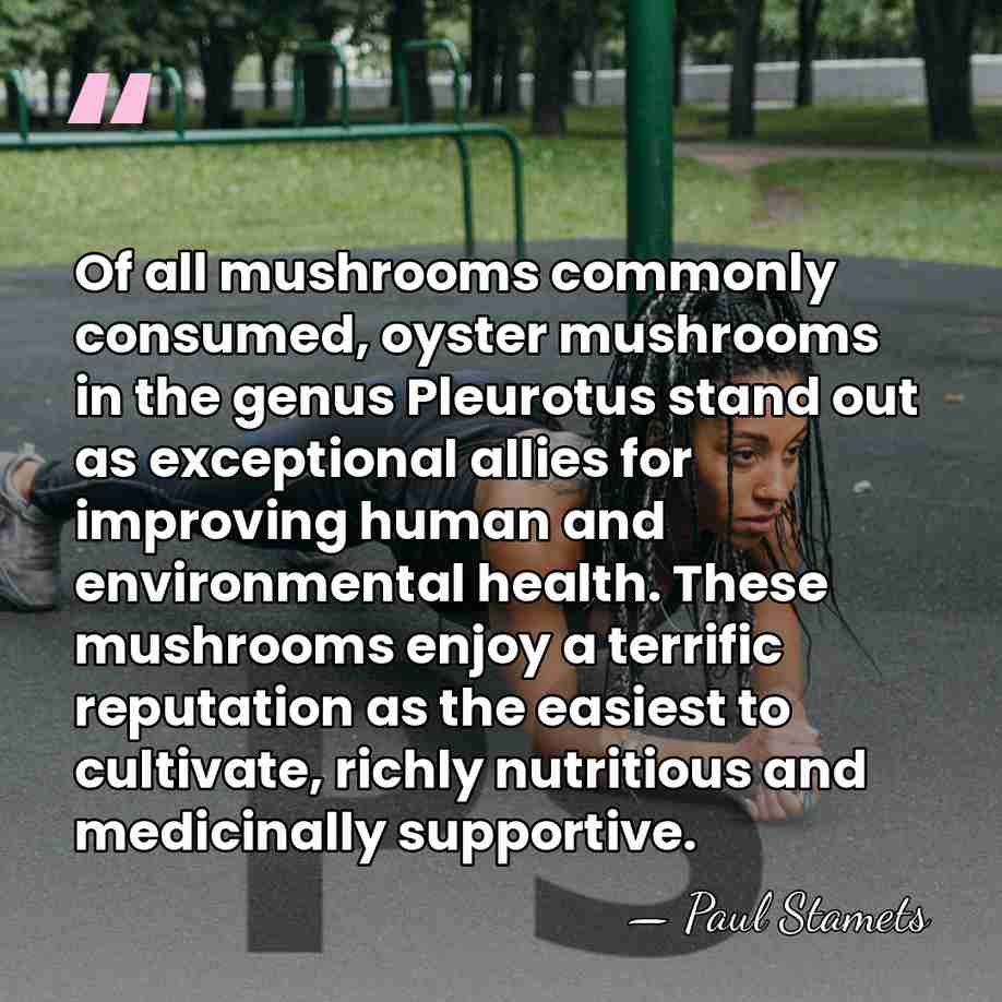 Of all mushrooms commonly consumed, oyster mushrooms in the genus Pleurotus stand&hellip; - Paul Stamets