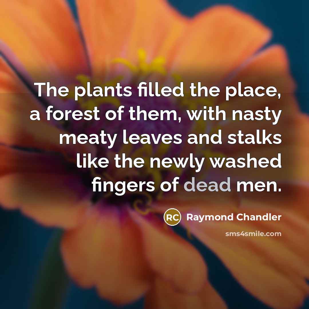 “The plants filled the place, a forest of them, with…” quote by Raymond Chandler
