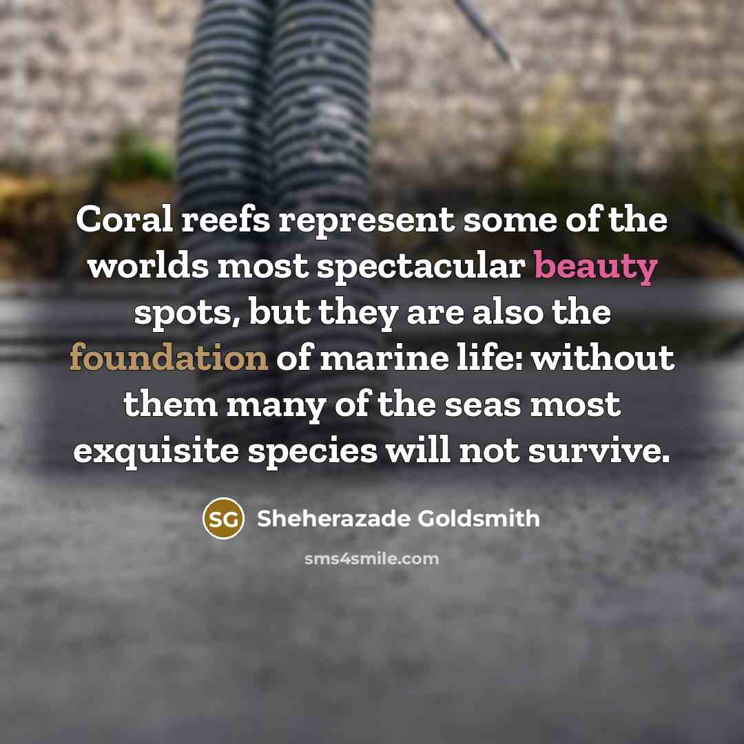 “Coral reefs represent some of the worlds most spectacular beauty spots, but they are also the foundation of marine life: without them many of the seas most exquisite species will not survive.” quote by Sheherazade Goldsmith