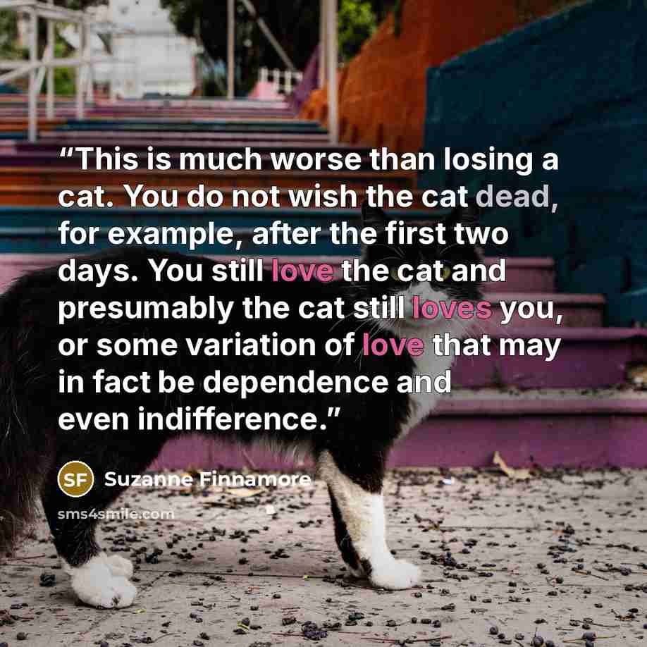 “This is much worse than losing a cat. You do not wish the cat dead, for example, after the first two days. You still love the cat and presumably the cat still loves you, or some variation of love that may in fact be dependence and even indifference.” quote by Suzanne Finnamore