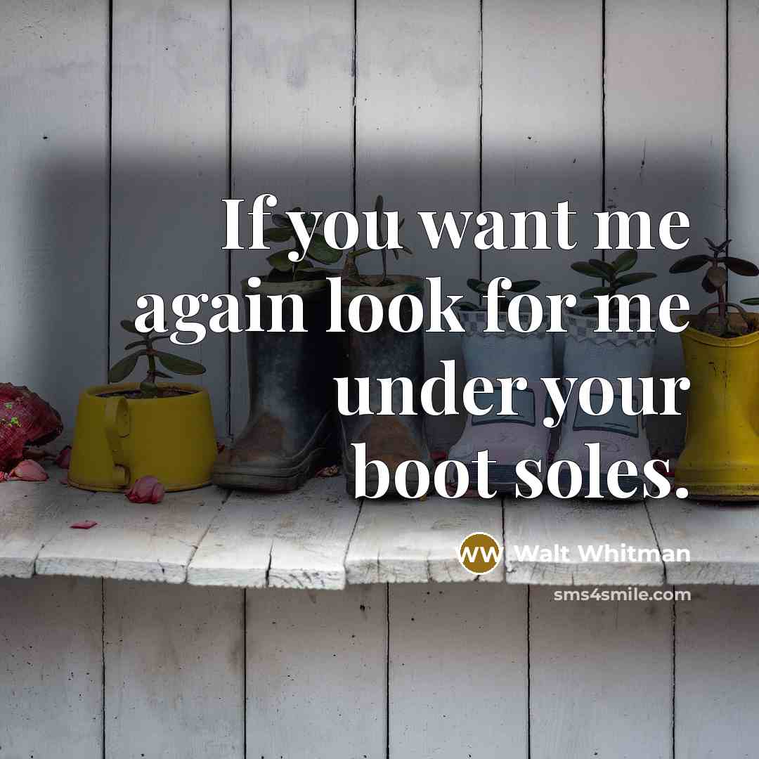“If you want me again look for me under your boot soles.” quote by Walt Whitman