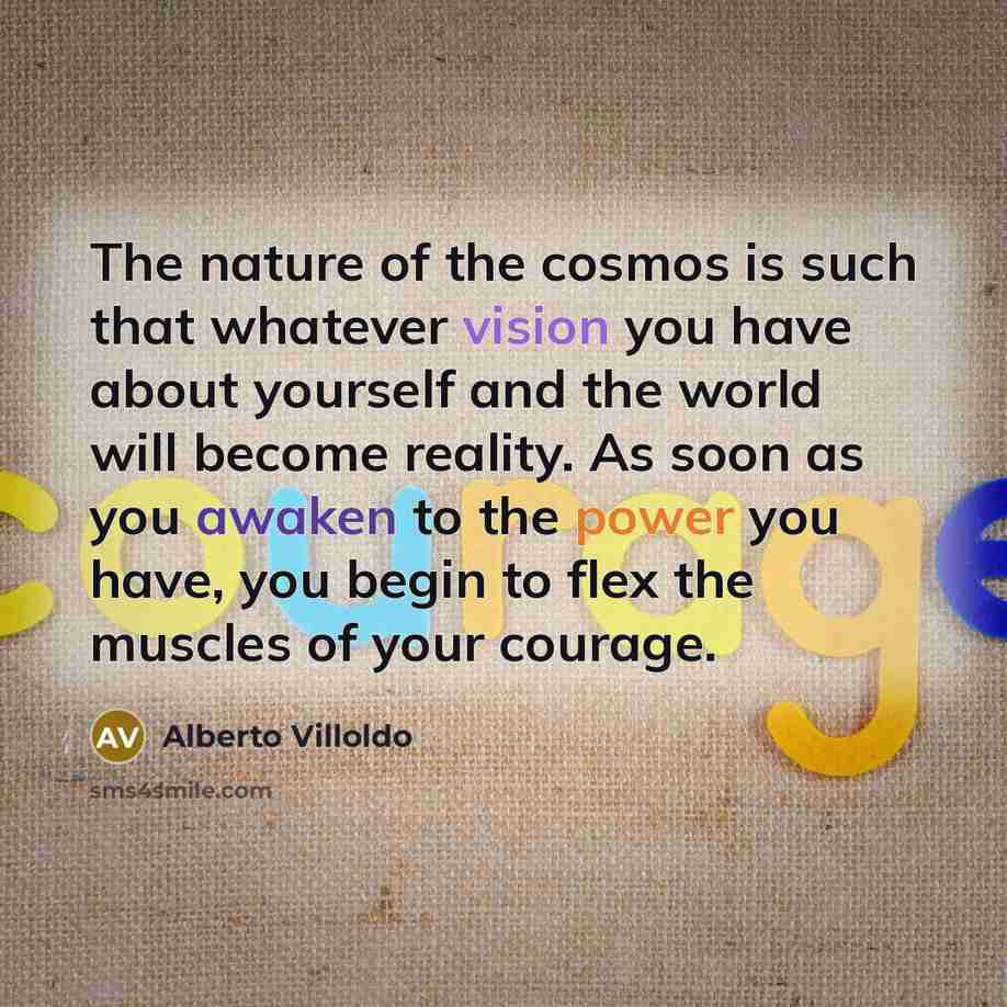 “The nature of the cosmos is such that whatever vision…” quote by Alberto Villoldo