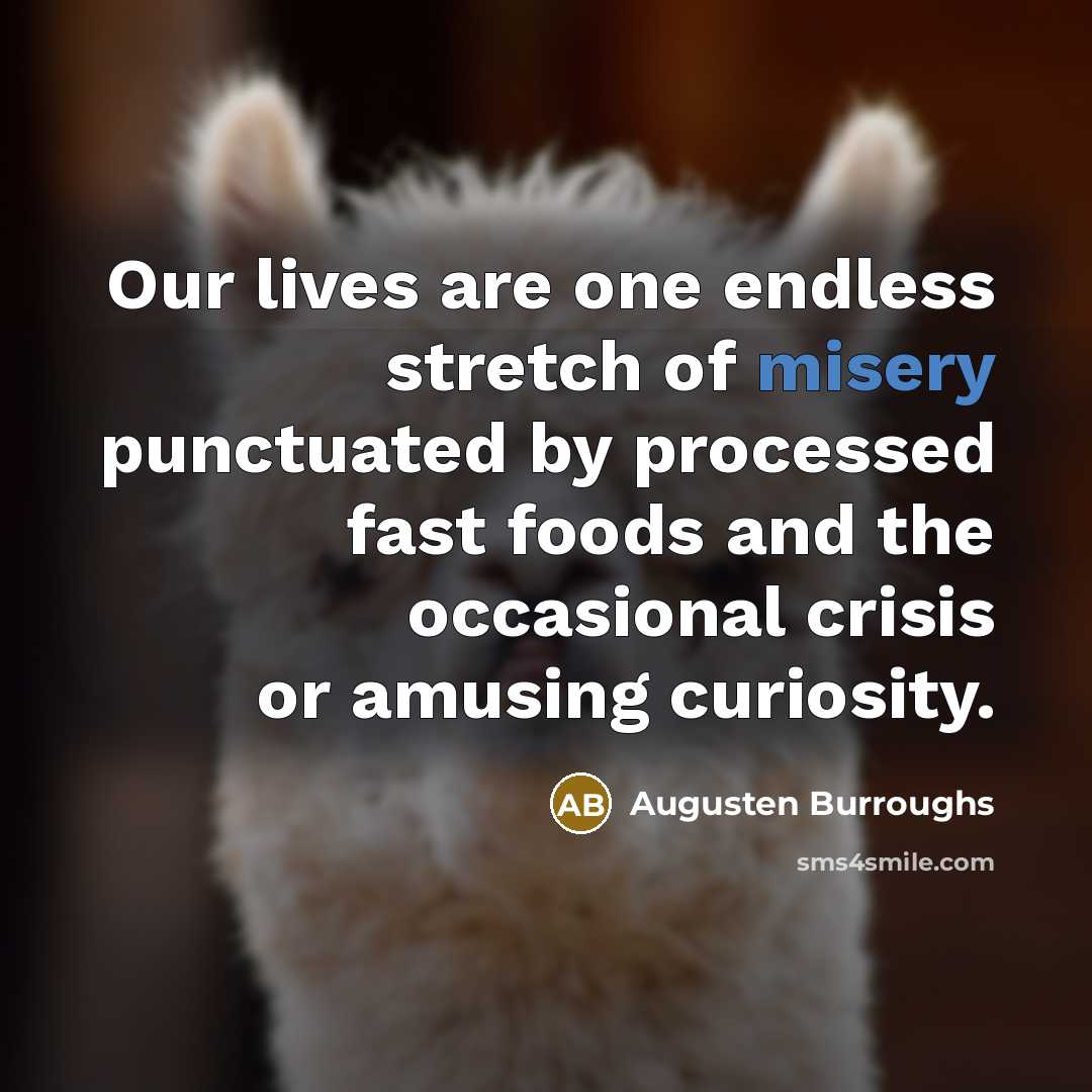 “Our lives are one endless stretch of misery punctuated by…” quote by Augusten Burroughs