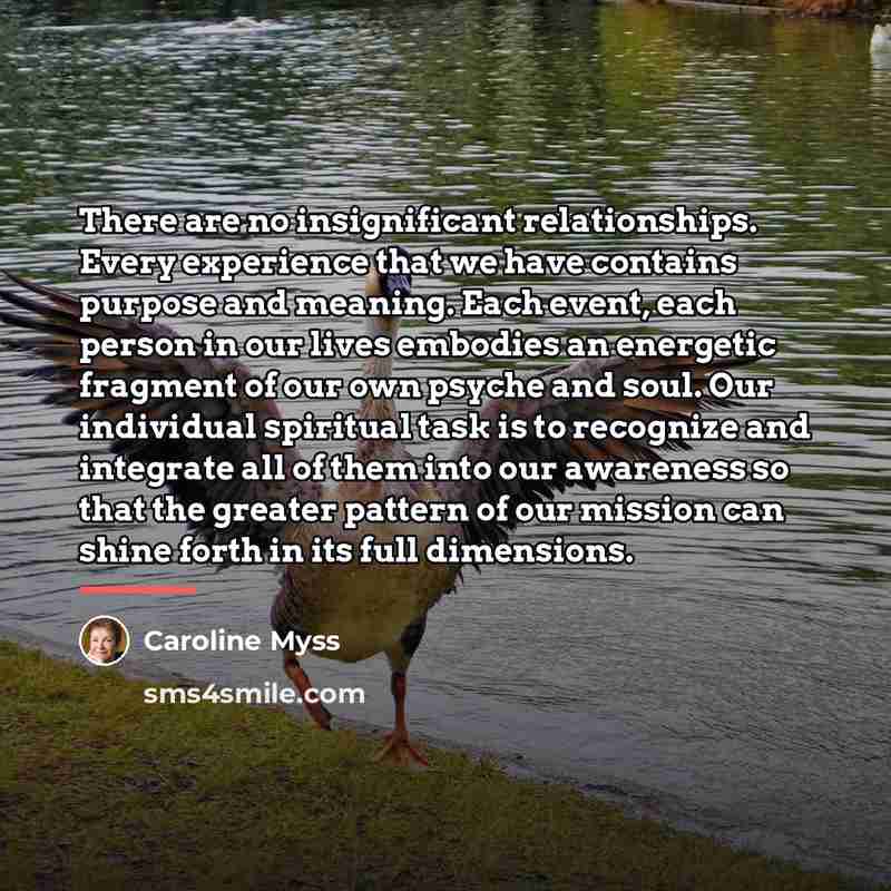 “There are no insignificant relationships. Every experience that we have…” quote by Caroline Myss