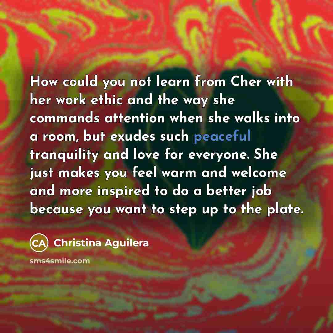 “How could you not learn from Cher with her work…” quote by Christina Aguilera