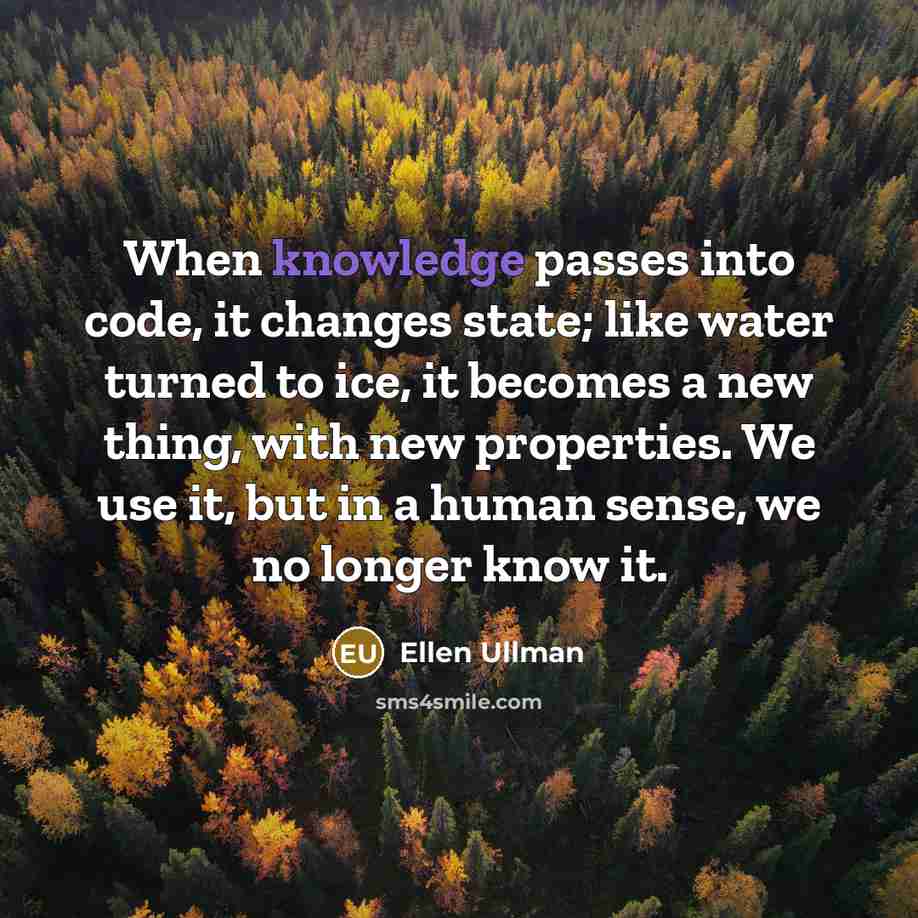 “When knowledge passes into code, it changes state; like water turned to ice, it becomes a new thing, with new properties. We use it, but in a human sense, we no longer know it.” quote by Ellen Ullman