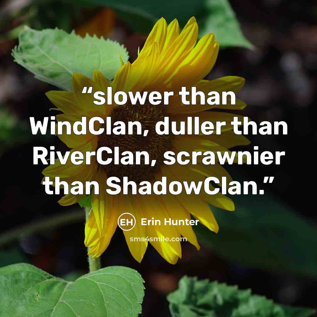 “slower than WindClan, duller than RiverClan, scrawnier than ShadowClan.” quote by Erin Hunter