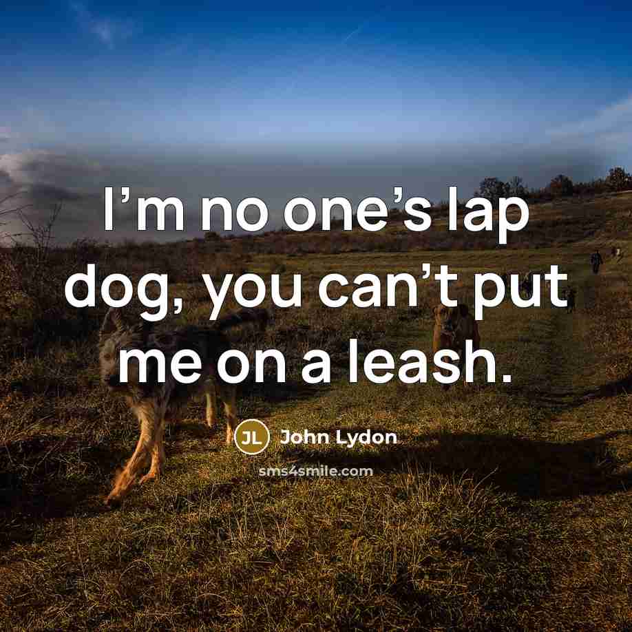“I'm no one's lap dog, you can't put me on…” quote by John Lydon