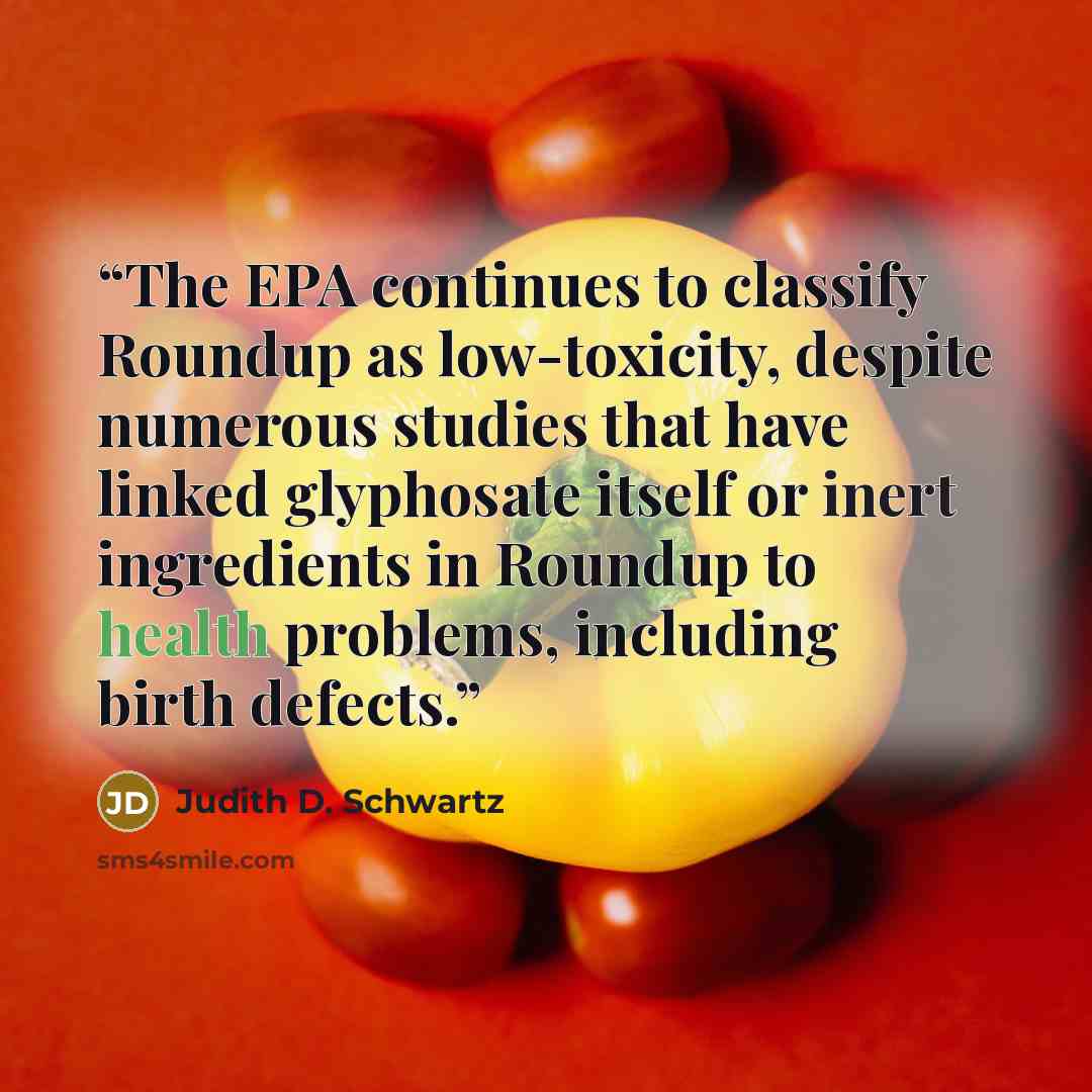 “The EPA continues to classify Roundup as low-toxicity, despite numerous studies that have linked glyphosate itself or inert ingredients in Roundup to health problems, including birth defects.” quote by Judith D. Schwartz
