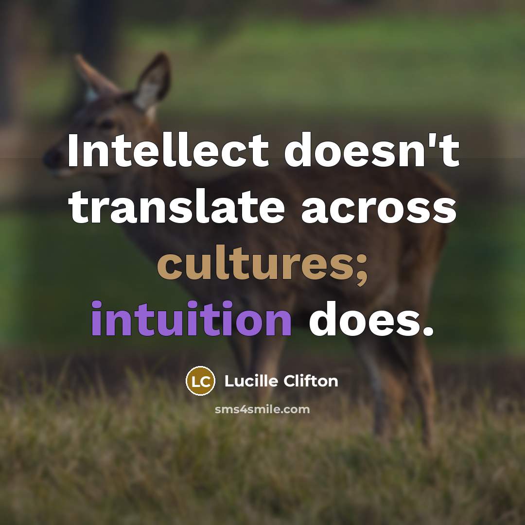 “Intellect doesn't translate across cultures; intuition does.…” quote by Lucille Clifton