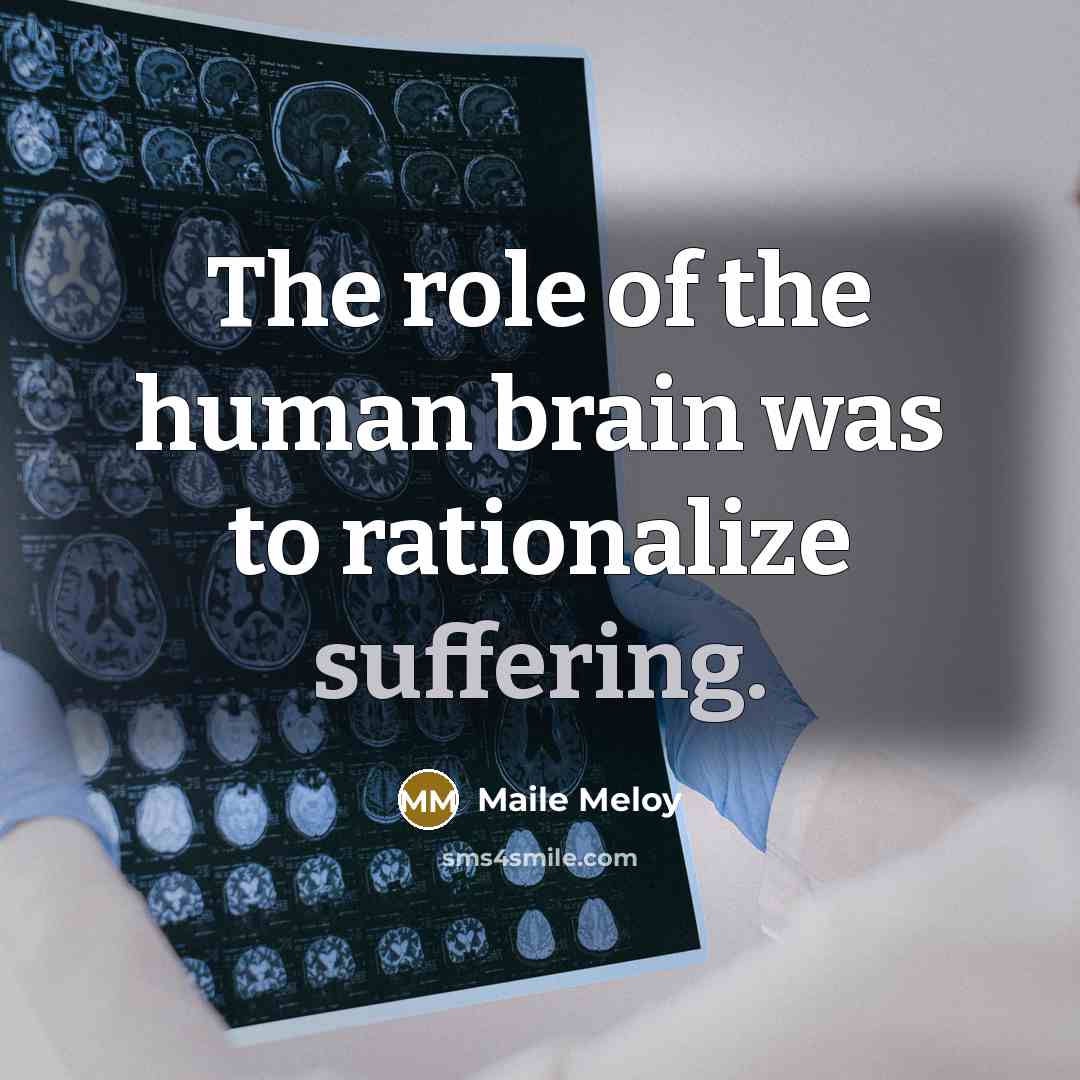 “The role of the human brain was to rationalize suffering.…” quote by Maile Meloy