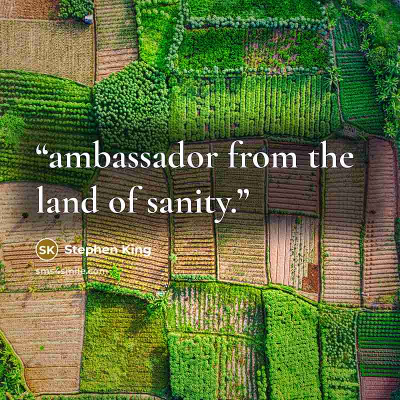 “ambassador from the land of sanity.” quote by Stephen King