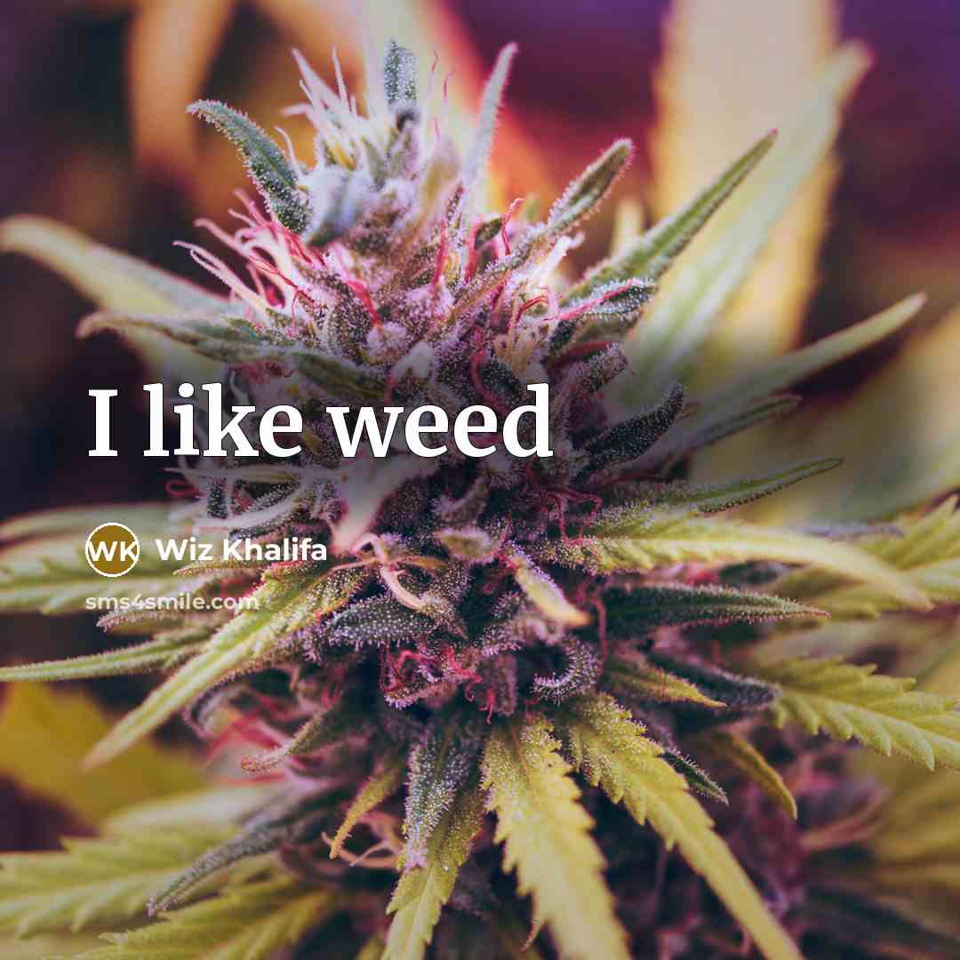 “I like weed” quote by Wiz Khalifa