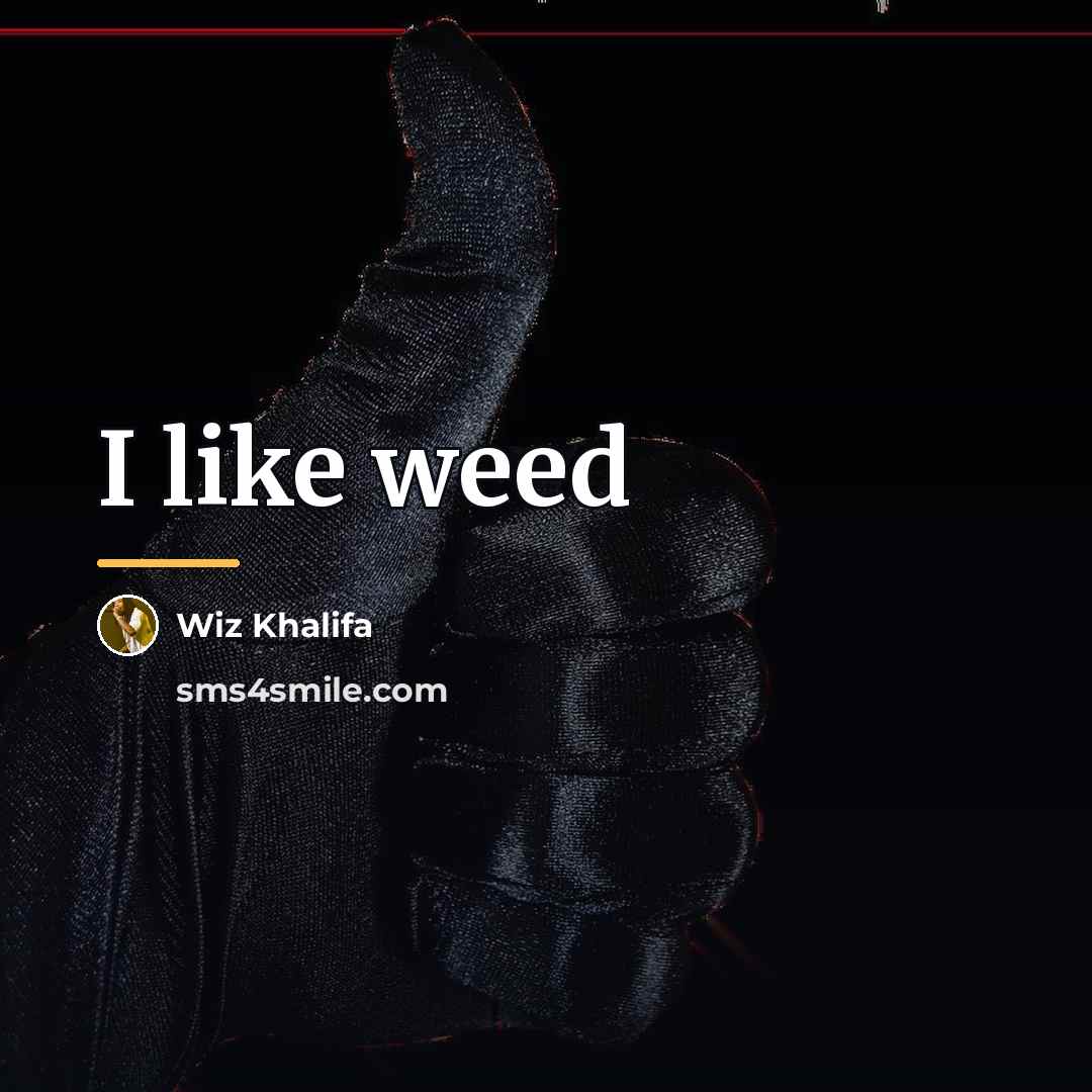 “I like weed…” quote by Wiz Khalifa