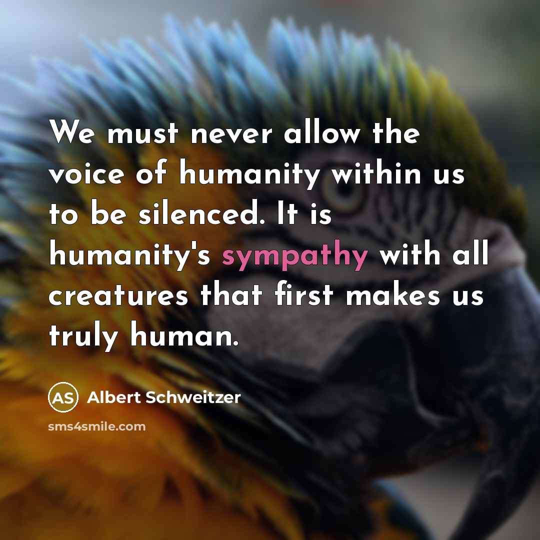 “We must never allow the voice of humanity within us…” quote by Albert Schweitzer