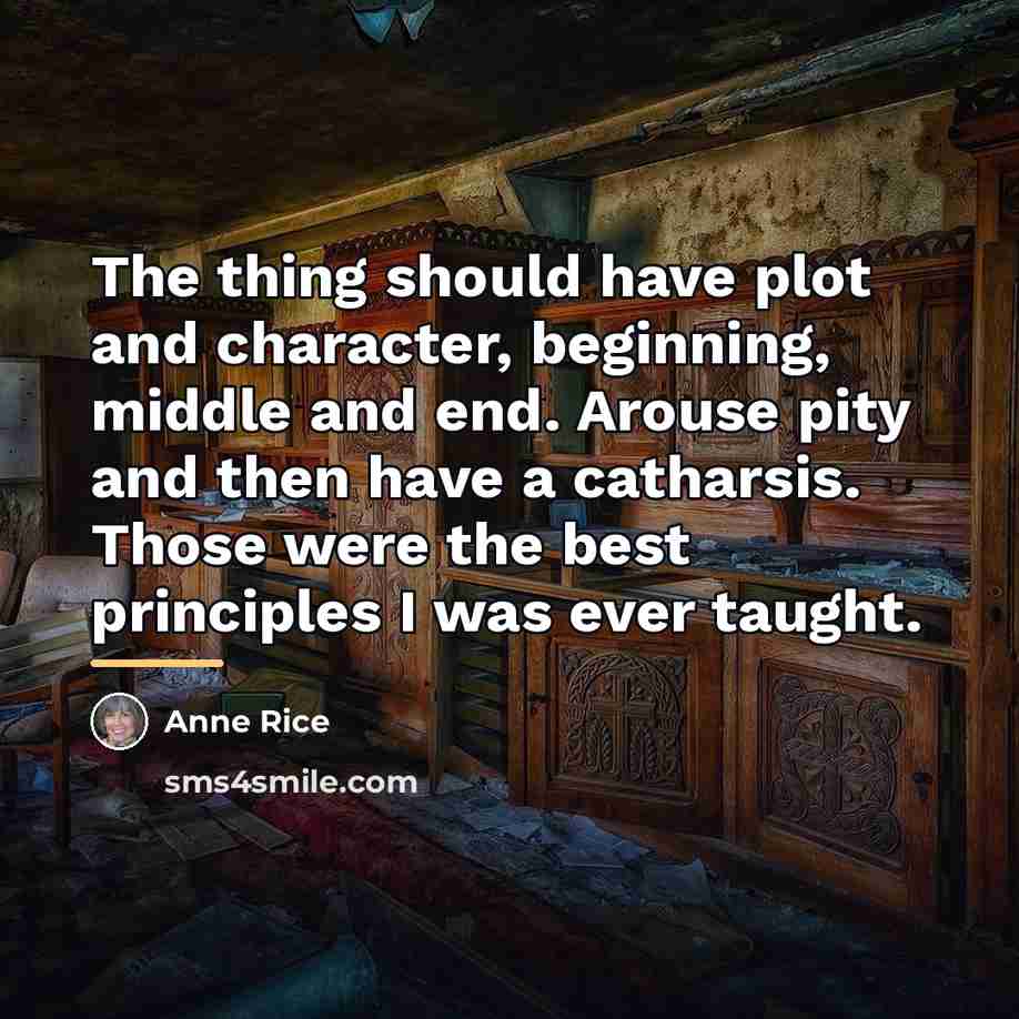“The thing should have plot and character, beginning, middle and…” quote by Anne Rice
