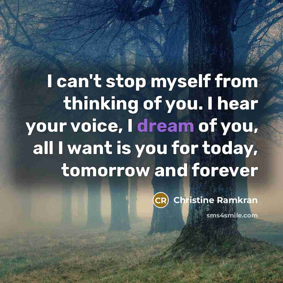 “I can't stop myself from thinking of you. I hear…” quote by Christine Ramkran