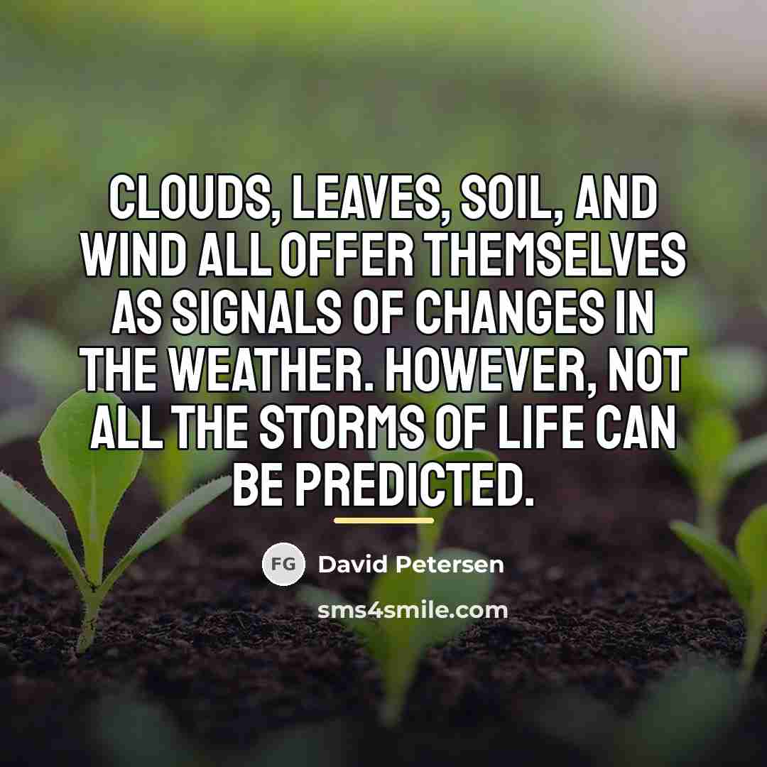 “Clouds, leaves, soil, and wind all offer themselves as signals…” quote by David Petersen