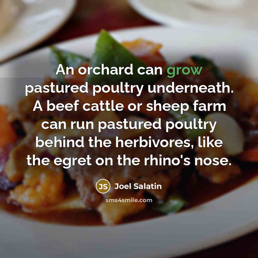 “An orchard can grow pastured poultry underneath. A beef cattle…” quote by Joel Salatin