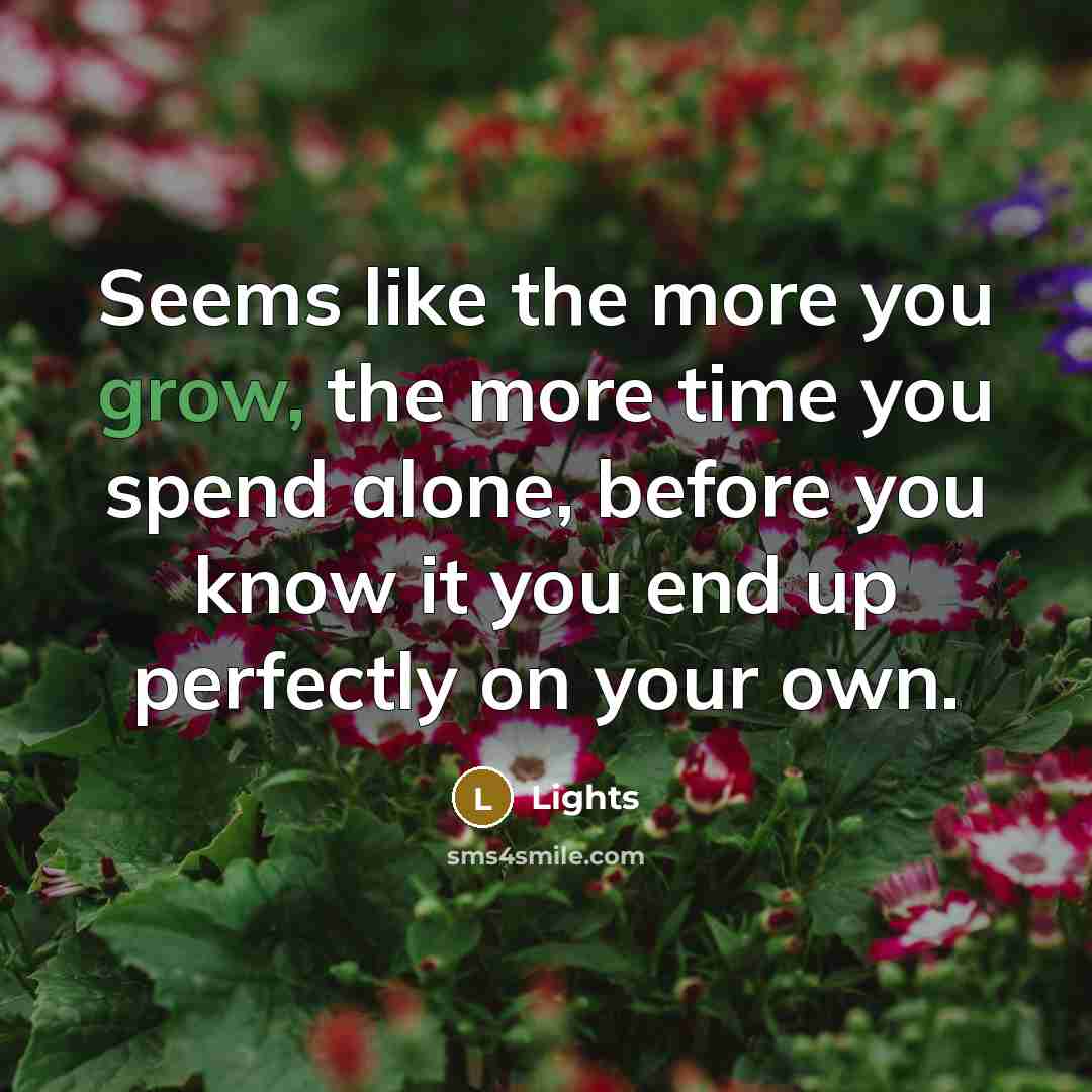 “Seems like the more you grow, the more time you…” quote by Lights