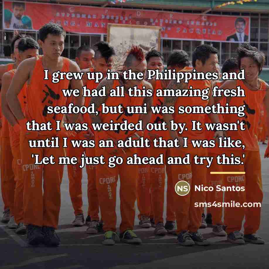 “I grew up in the Philippines and we had all…” quote by Nico Santos