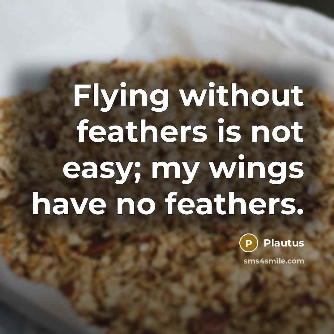 “Flying without feathers is not easy; my wings have no…” quote by Plautus