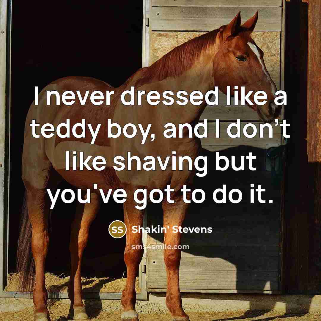“I never dressed like a teddy boy, and I don't…” quote by Shakin' Stevens