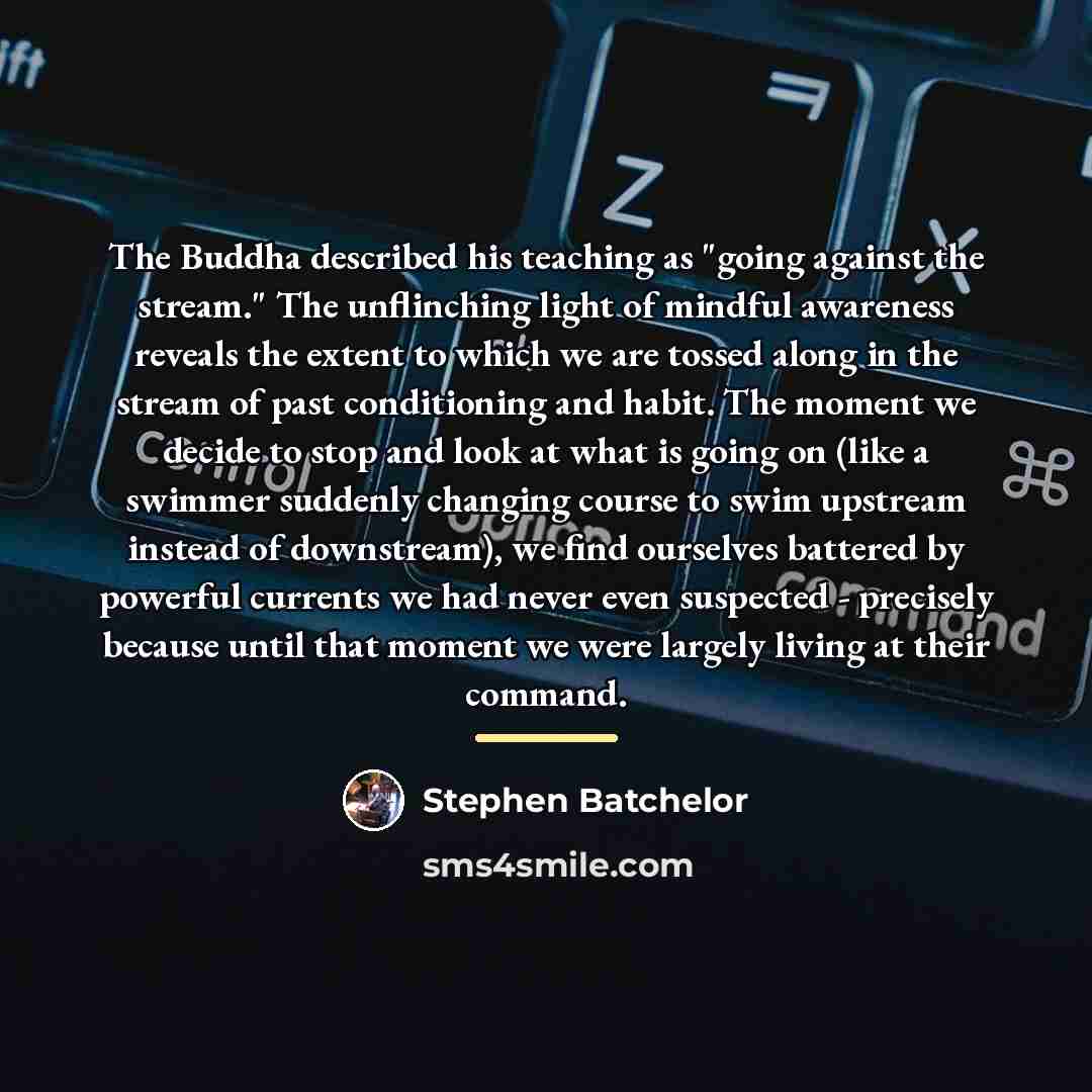 “The Buddha described his teaching as "going against the stream."…” quote by Stephen Batchelor