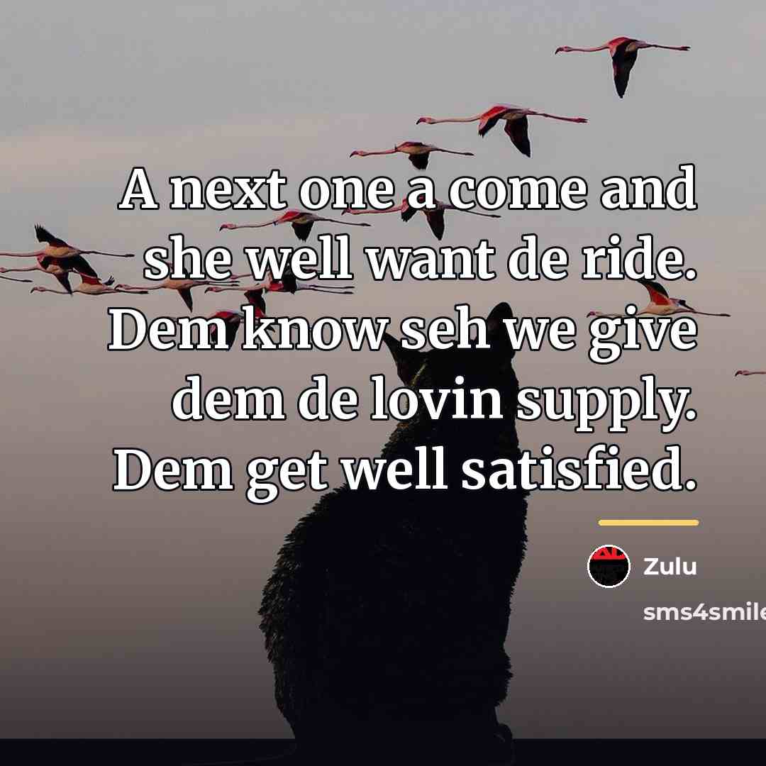 “A next one a come and she well want de…” quote by Zulu