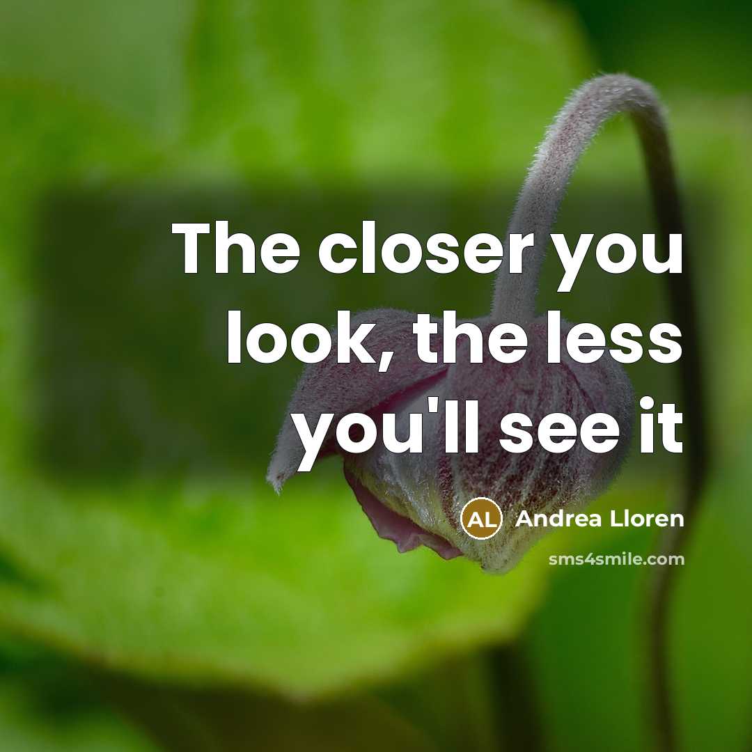 “The closer you look, the less you'll see it…” quote by Andrea Lloren