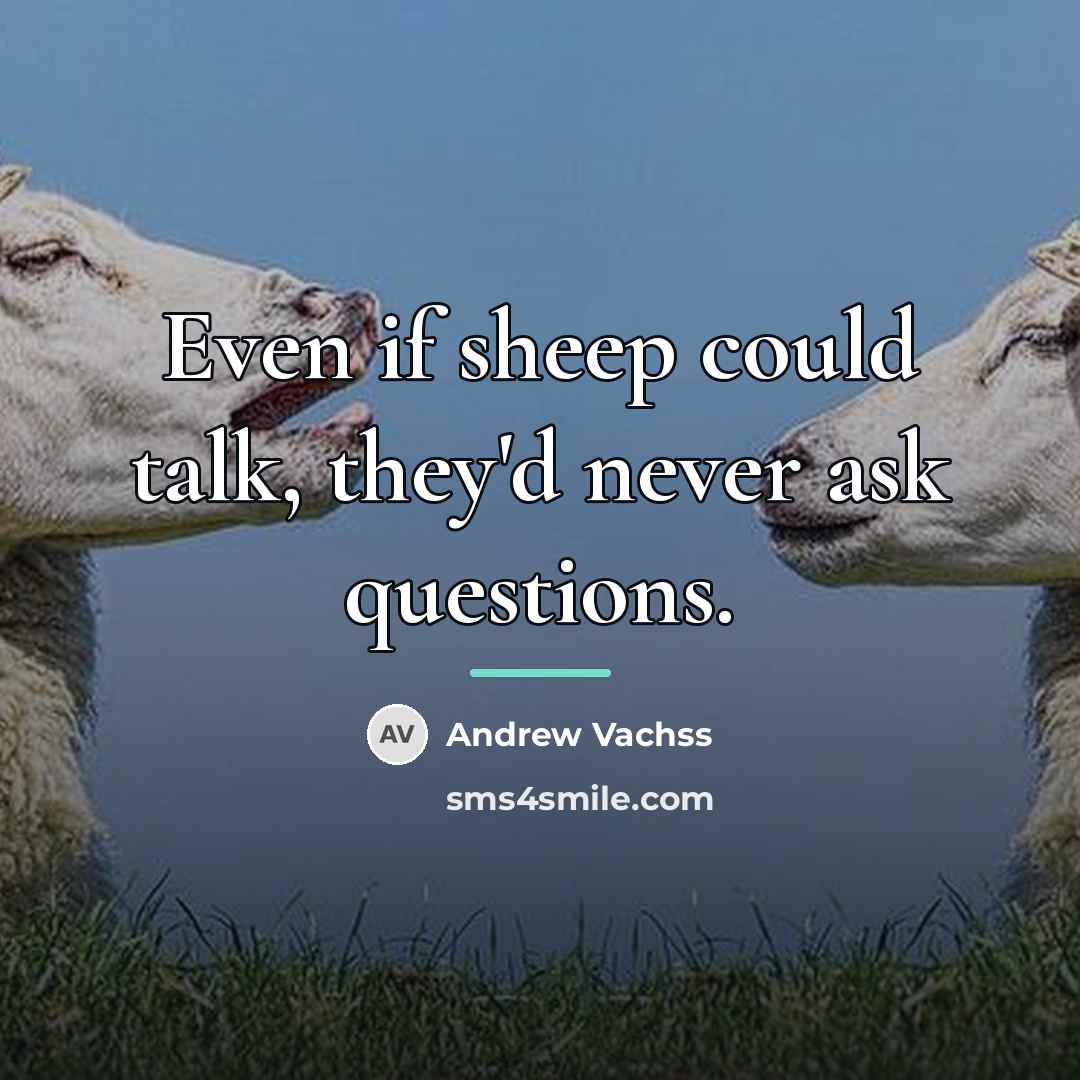 “Even if sheep could talk, they'd never ask questions.…” quote by Andrew Vachss