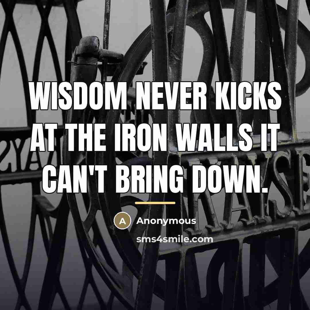 “Wisdom never kicks at the iron walls it can't bring…” quote by Anonymous