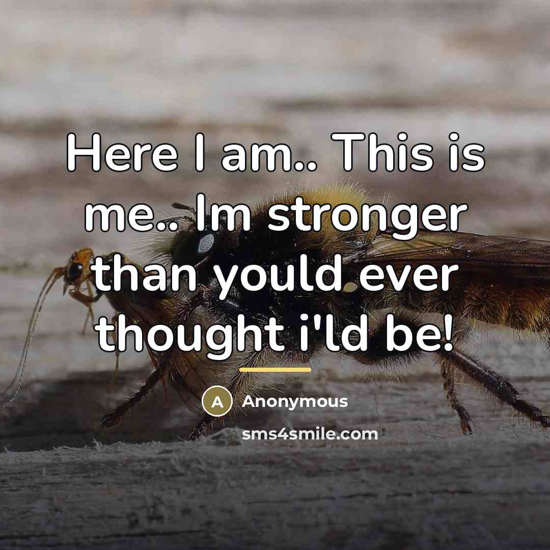 “Here I am.. This is me.. Im stronger than yould…” quote by Anonymous