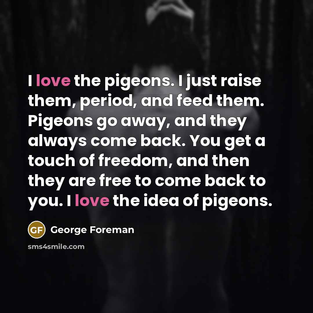 “I love the pigeons. I just raise them, period, and…” quote by George Foreman