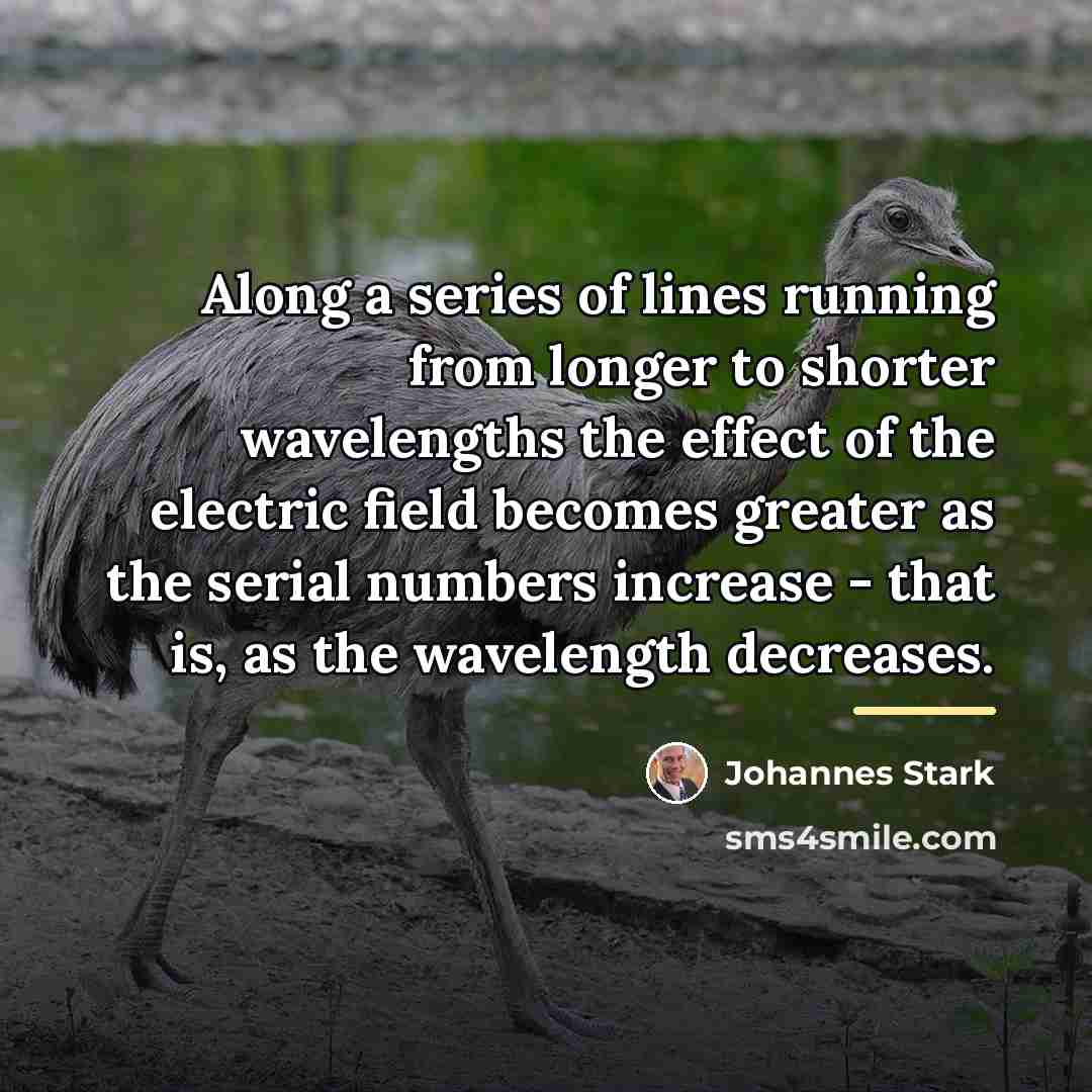 “Along a series of lines running from longer to shorter…” quote by Johannes Stark