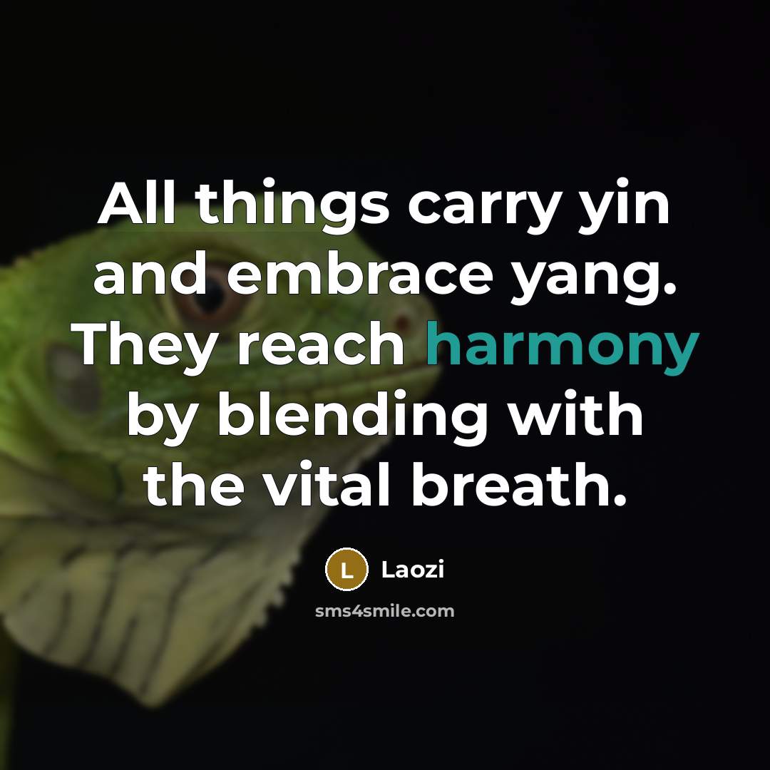 “All things carry yin and embrace yang. They reach harmony…” quote by Laozi