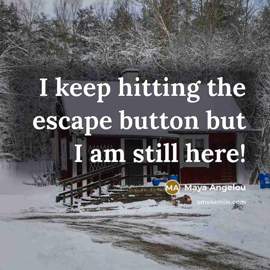 “I keep hitting the escape button but I am still here!” quote by Maya Angelou