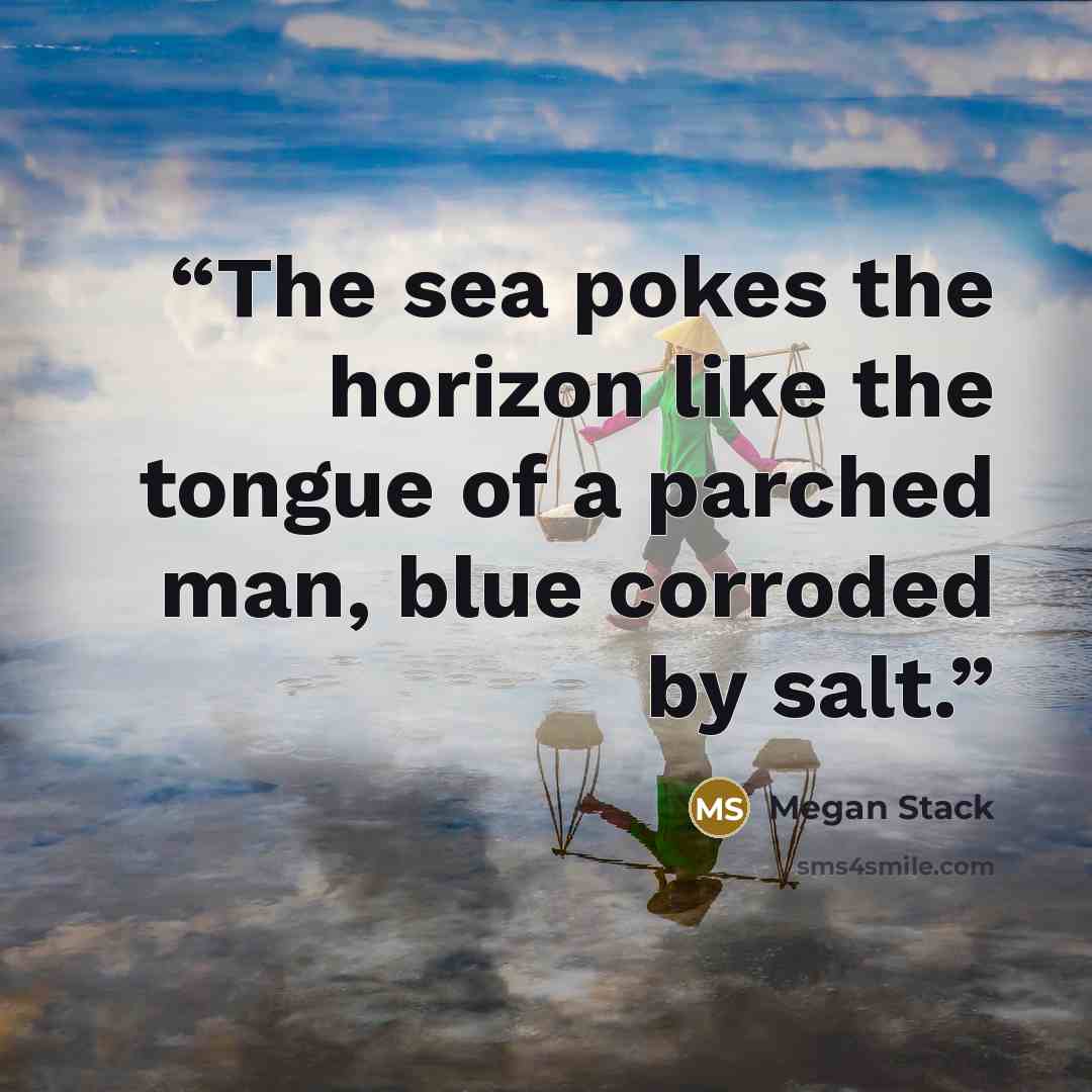 “The sea pokes the horizon like the tongue of a parched man, blue corroded by salt.” quote by Megan Stack