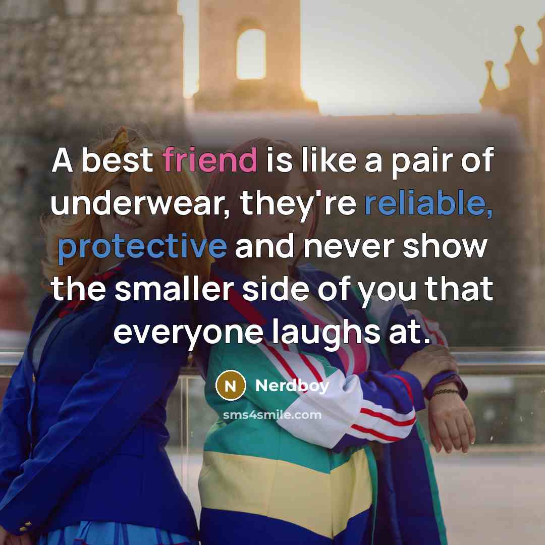 “A best friend is like a pair of underwear, they're…” quote by Nerdboy