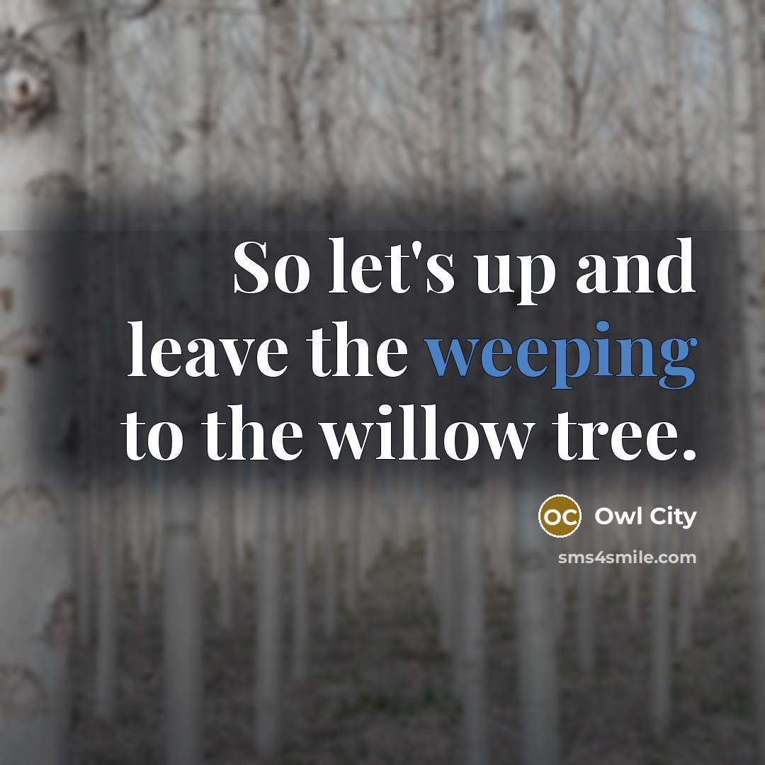 “So let's up and leave the weeping to the willow…” quote by Owl City