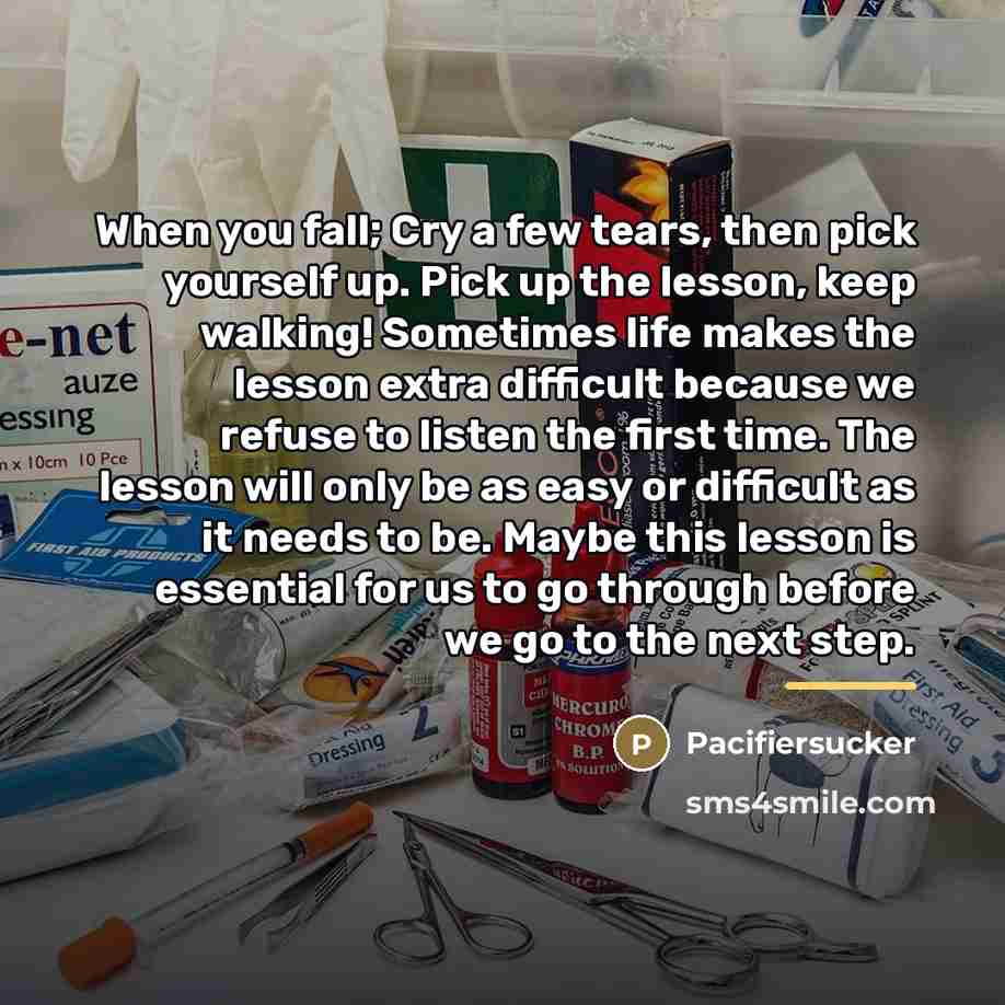 “When you fall; Cry a few tears, then pick yourself…” quote by Pacifiersucker
