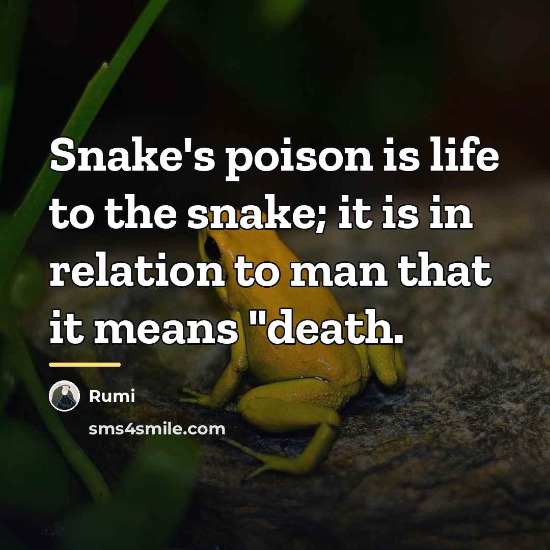 “Snake's poison is life to the snake; it is in…” quote by Rumi