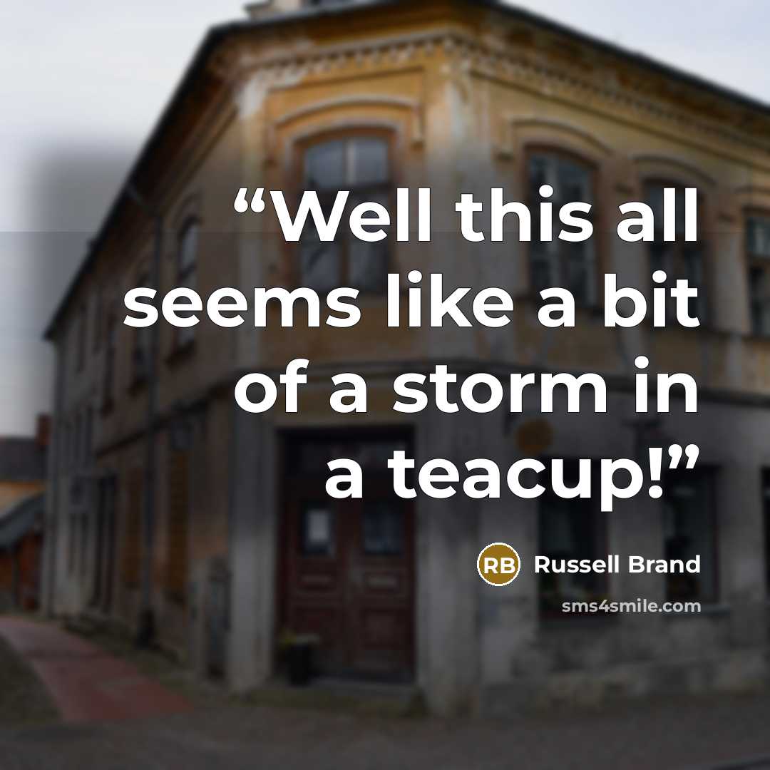 “Well this all seems like a bit of a storm in a teacup!” quote by Russell Brand