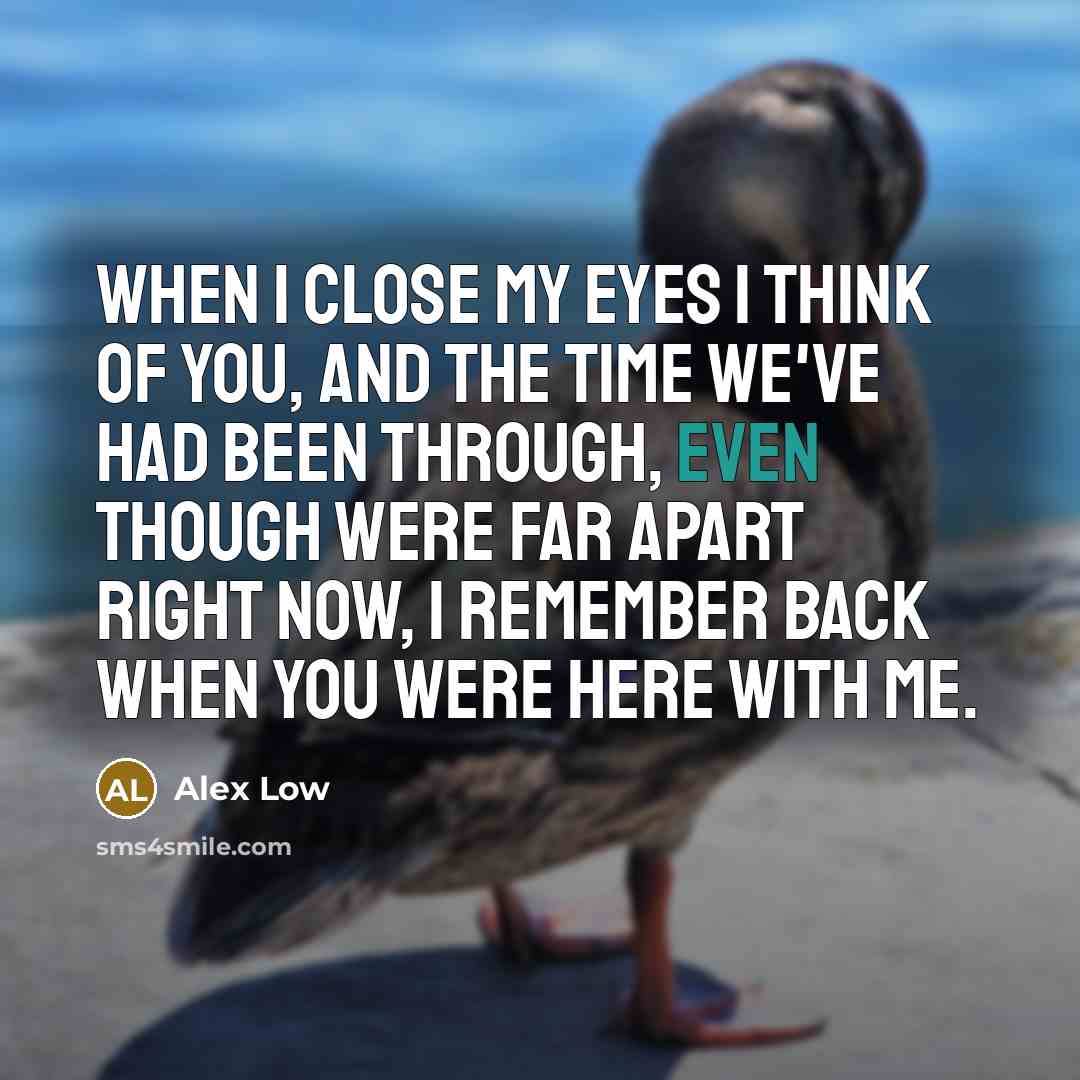 “When I close my eyes I think of you, And the time we've had been through, Even though were far apart right now, I remember back when you were here with me.” quote by Alex Low
