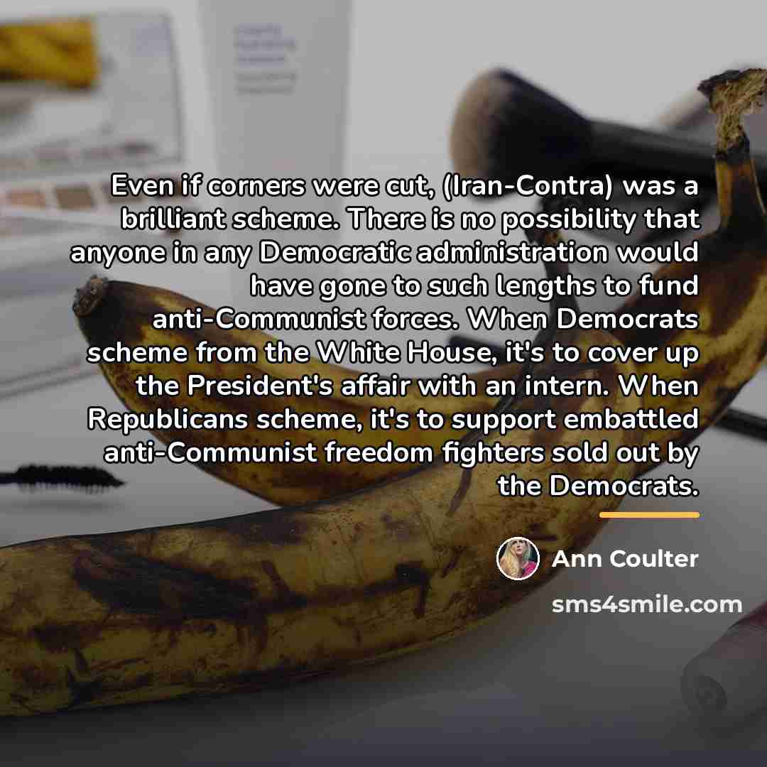 “Even if corners were cut, (Iran-Contra) was a brilliant scheme.…” quote by Ann Coulter